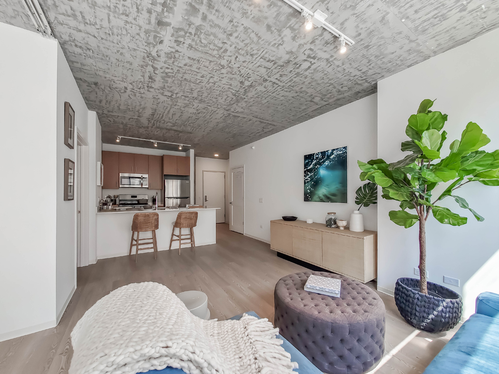 South Loop 1=Bedroom Apartment Living Room