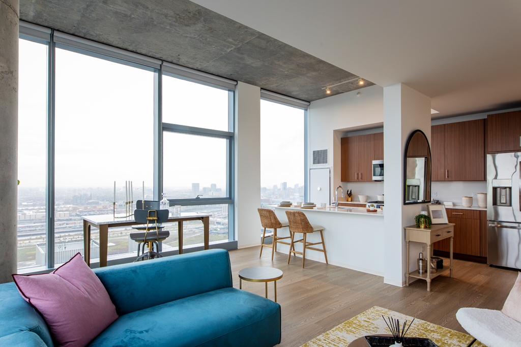 South Loop Apartment Living Room and Kitchen