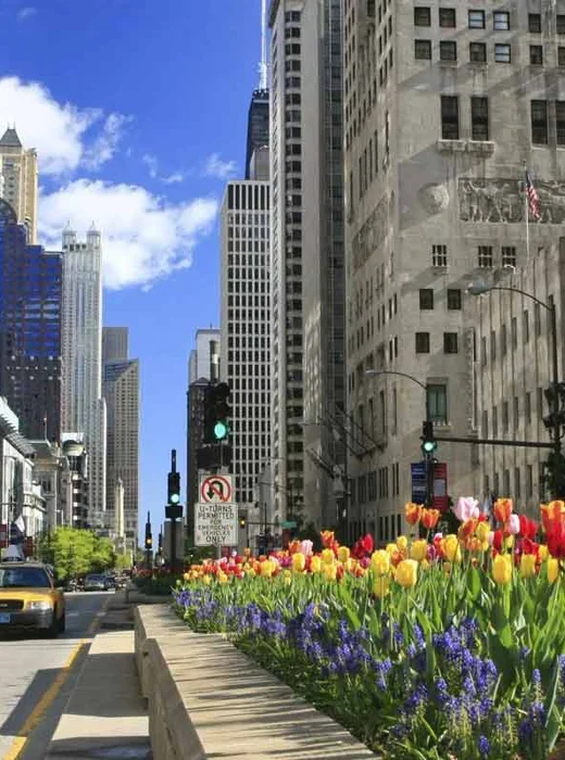 Streeterville